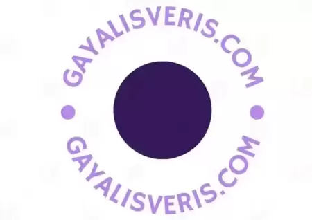 Gayalisveris.com